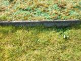 image of grave number 633600